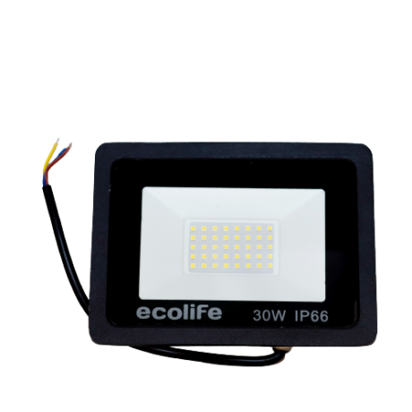LED Floodlight 30W 6000K IP65