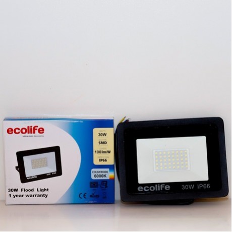 LED Floodlight 30W 6000K IP66 SMD-1