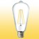 Dimmable LED Bulb ST64 160-240V 3000K 10W