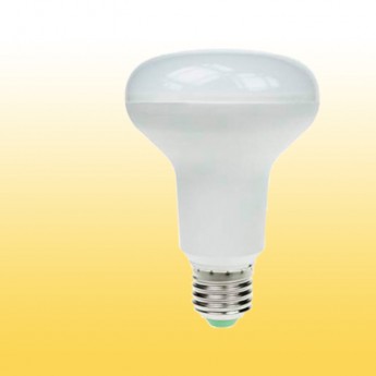 LED Bulb 160-240V 3000K E27 12W R80
