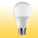 LED Bulb 160-240V 3000K E27 20W A60