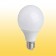 LED Bulb 160-240V 6000K E27 20W A65