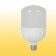 LED Bulb T100 6500K 18W E27