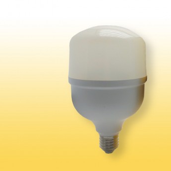 LED Bulb 160-240V 30W 4000K T100 LED Bulb 160-240V 30W 4000K T100