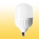 LED Bulb 160-240V 6000K E27 65W T120