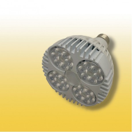 LED Par Bulb 3000K 35W E27 White